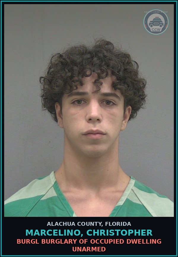 Booking mugshot of MARCELINO, CHRISTOPHER in Alachua County
