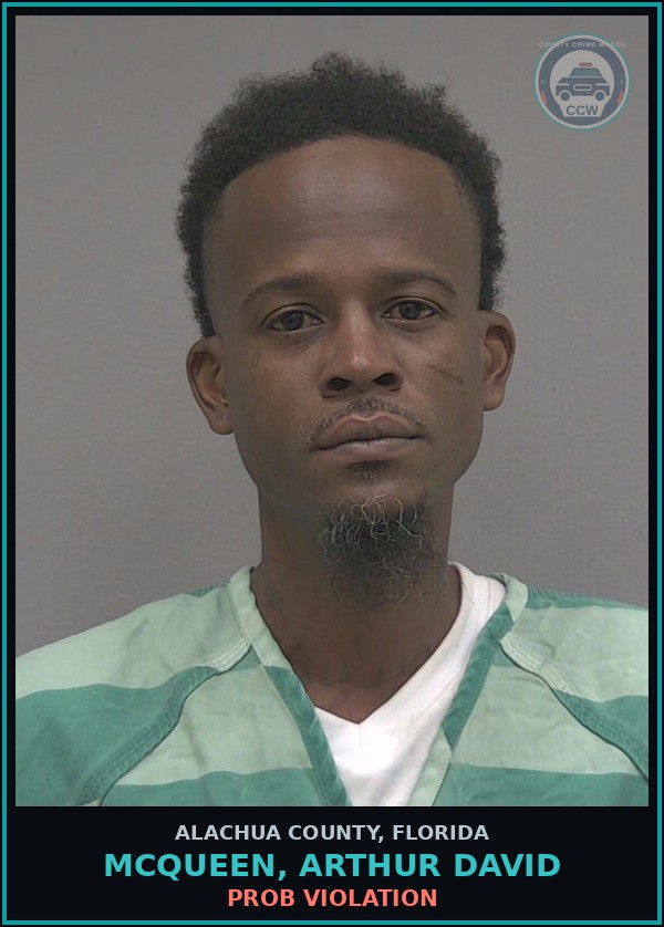 Booking mugshot of MCQUEEN, ARTHUR DAVID in Alachua County