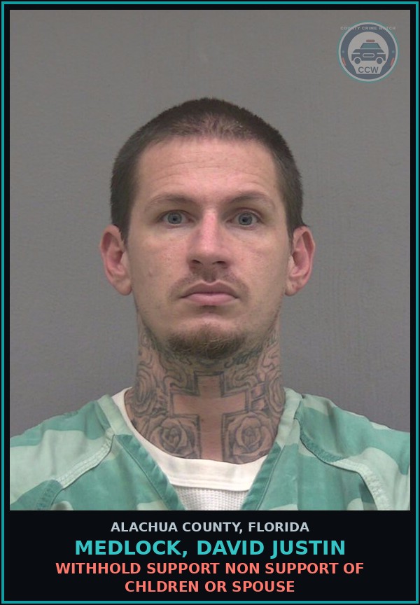 Booking mugshot of MEDLOCK, DAVID JUSTIN in Alachua County