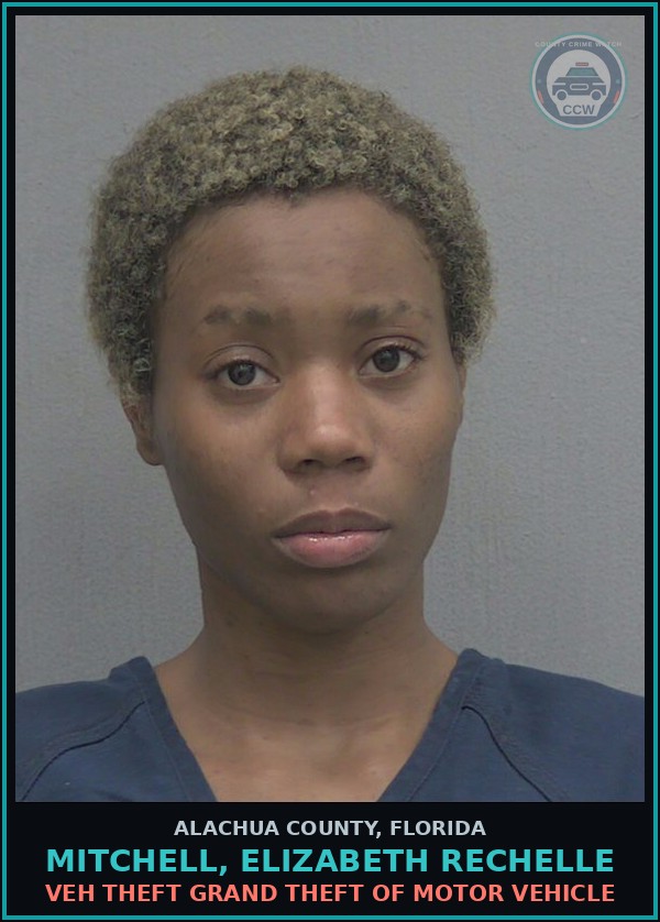 Booking mugshot of MITCHELL, ELIZABETH RECHELLE in Alachua County