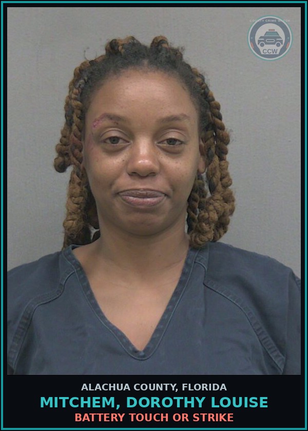 Booking mugshot of MITCHEM, DOROTHY LOUISE in Alachua County
