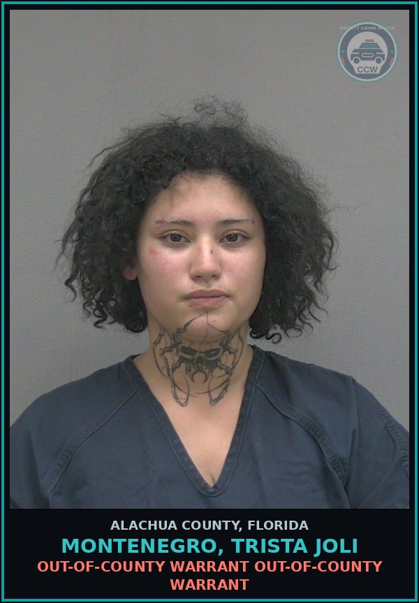 Booking mugshot of MONTENEGRO, TRISTA JOLI in Alachua County