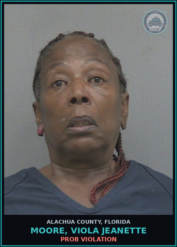 Booking mugshot of MOORE, VIOLA JEANETTE in Alachua County