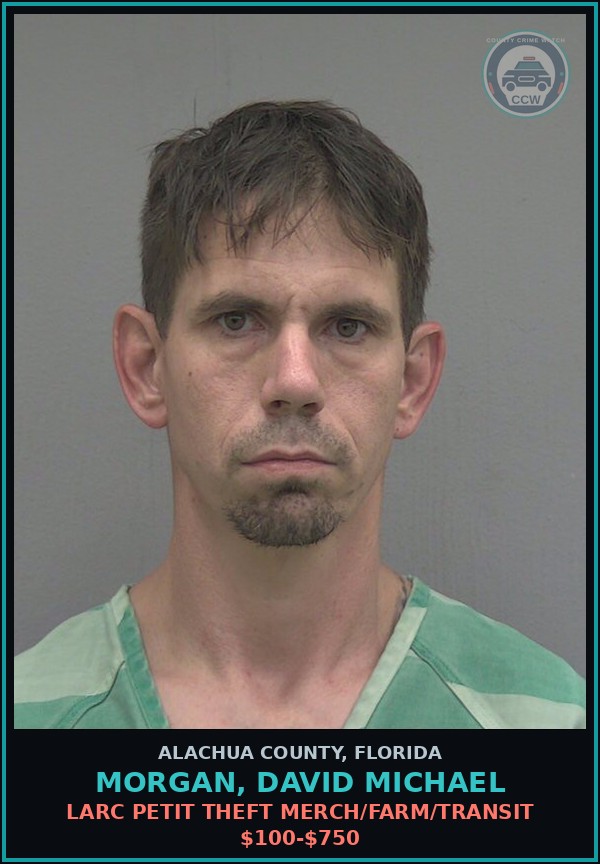 Booking mugshot of MORGAN, DAVID MICHAEL in Alachua County