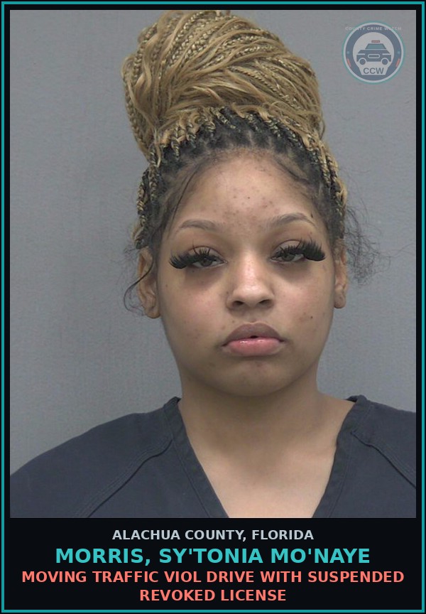 Booking mugshot of MORRIS, SY'TONIA MO'NAYE in Alachua County