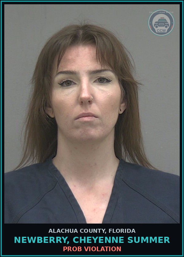 Booking mugshot of NEWBERRY, CHEYENNE SUMMER in Alachua County