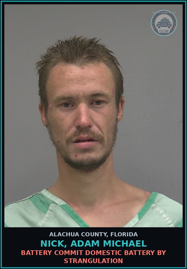 Booking mugshot of NICK, ADAM MICHAEL in Alachua County