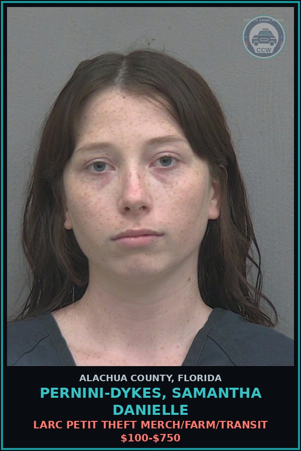 Booking mugshot of PERNINI-DYKES, SAMANTHA DANIELLE in Alachua County