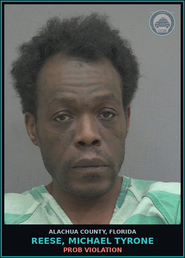Booking mugshot of REESE, MICHAEL TYRONE in Alachua County