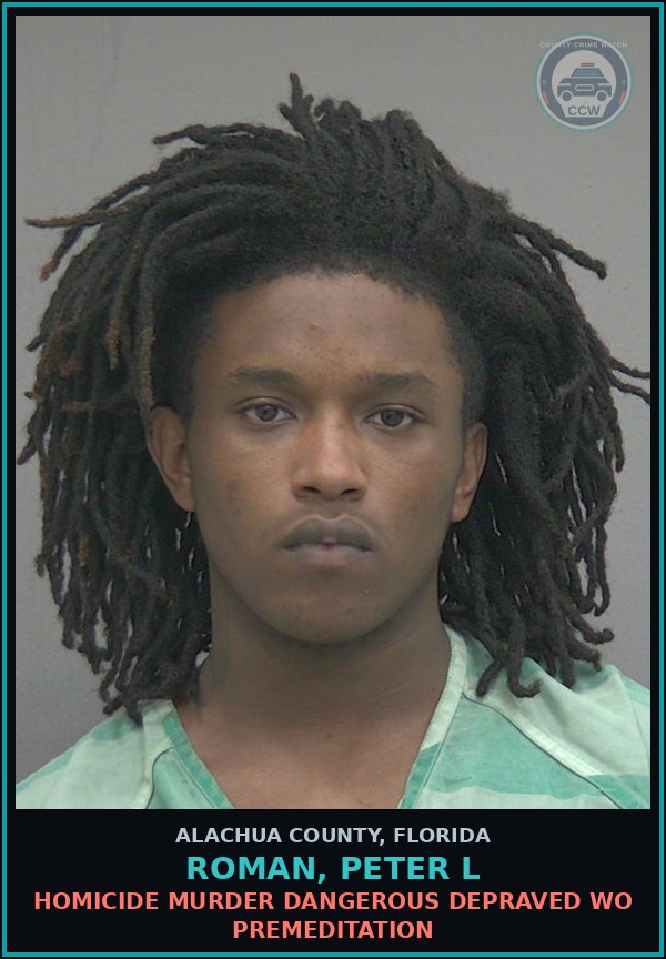 Booking mugshot of ROMAN, PETER L in Alachua County