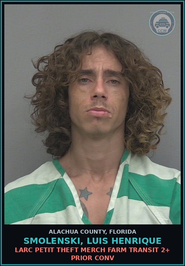 Booking mugshot of SMOLENSKI, LUIS HENRIQUE in Alachua County