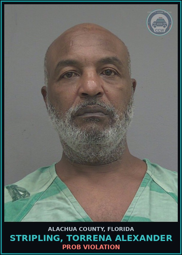 Booking mugshot of STRIPLING, TORRENA ALEXANDER in Alachua County