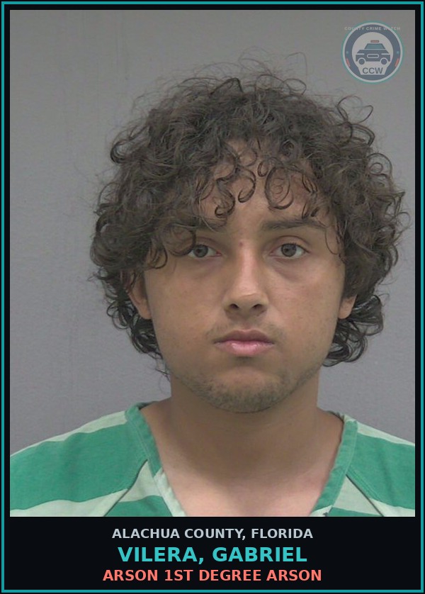 Booking mugshot of VILERA, GABRIEL in Alachua County