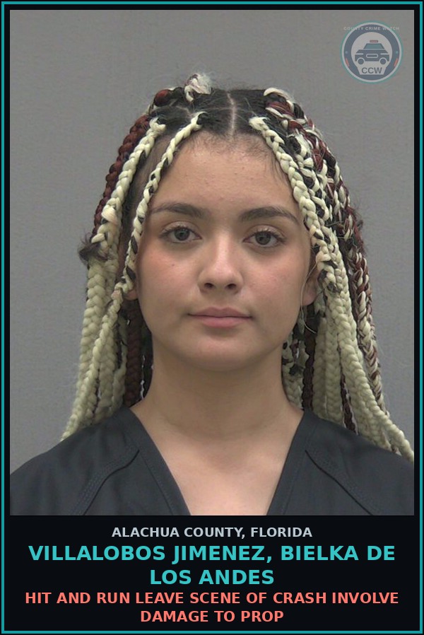 Booking mugshot of VILLALOBOS JIMENEZ, BIELKA DE LOS ANDES in Alachua County