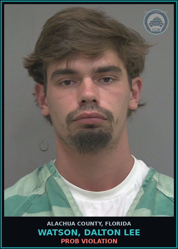 Booking mugshot of WATSON, DALTON LEE in Alachua County