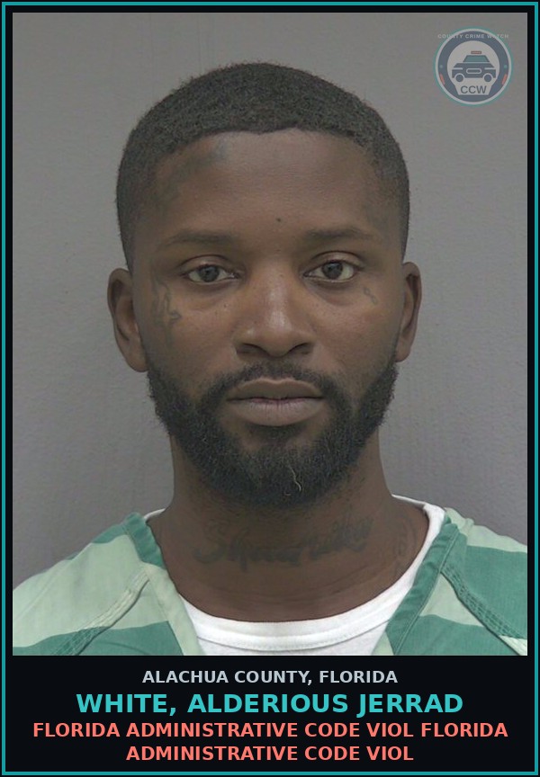 Booking mugshot of WHITE, ALDERIOUS JERRAD in Alachua County