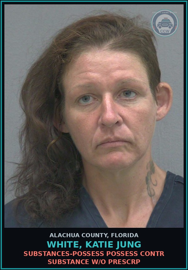 Booking mugshot of WHITE, KATIE JUNG in Alachua County
