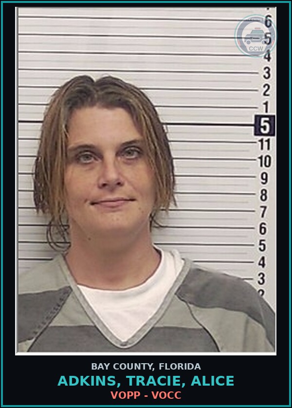 Booking mugshot of ADKINS, TRACIE, ALICE in Bay County