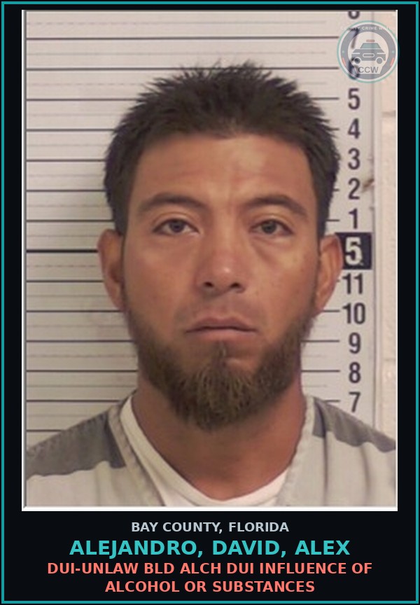 Booking mugshot of ALEJANDRO, DAVID, ALEX in Bay County