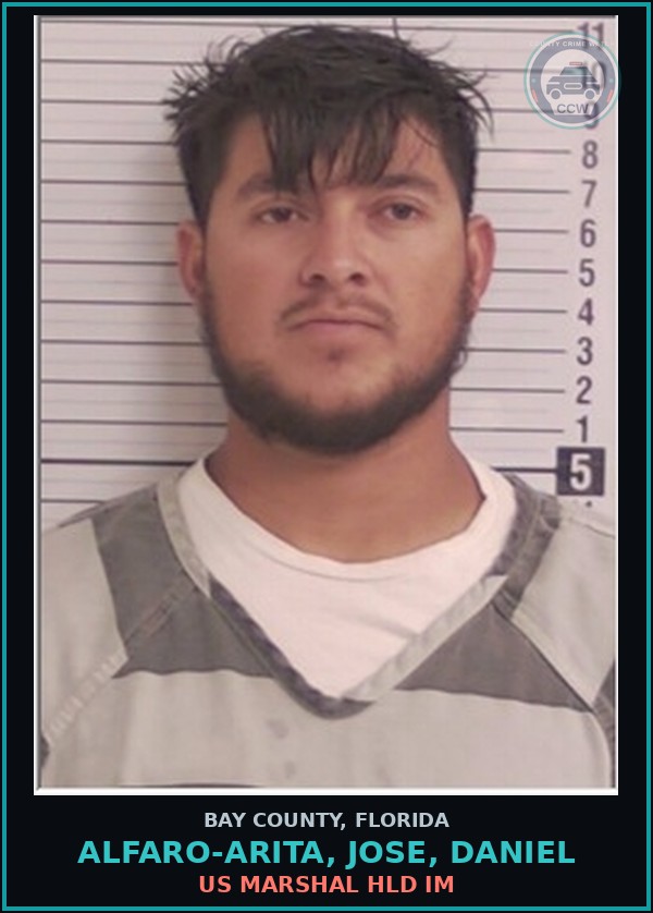 Booking mugshot of ALFARO-ARITA, JOSE, DANIEL in Bay County