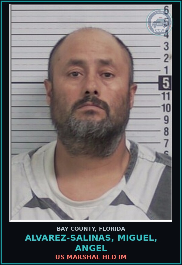 Booking mugshot of ALVAREZ-SALINAS, MIGUEL, ANGEL in Bay County