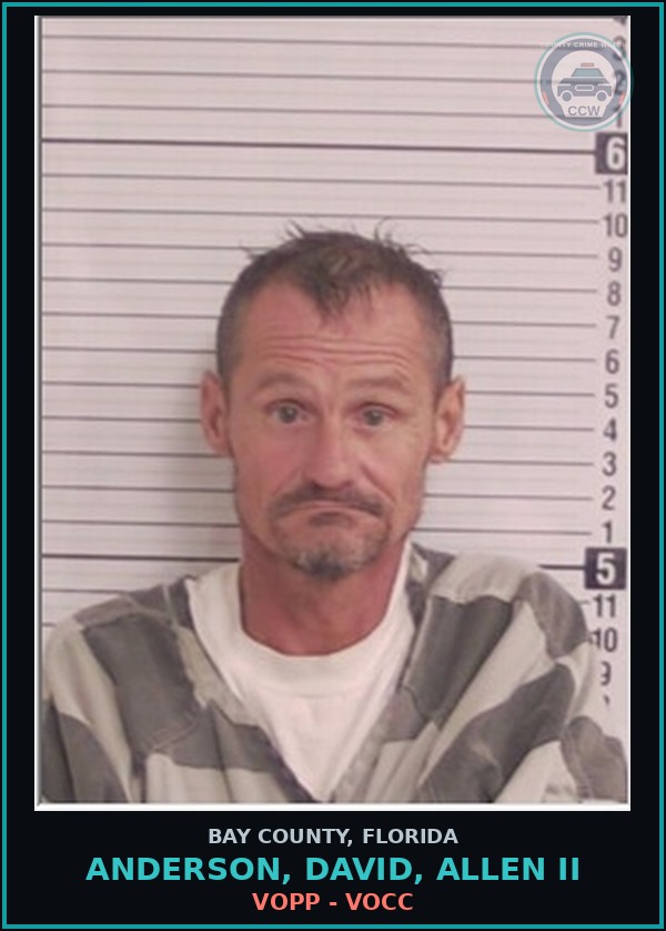 Booking mugshot of ANDERSON, DAVID, ALLEN II in Bay County