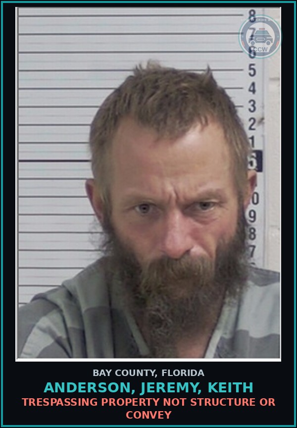 Booking mugshot of ANDERSON, JEREMY, KEITH in Bay County
