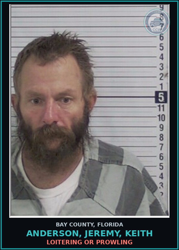 Booking mugshot of ANDERSON, JEREMY, KEITH in Bay County