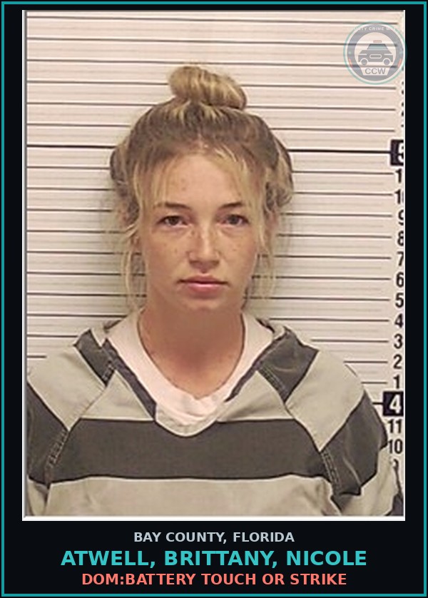 Booking mugshot of ATWELL, BRITTANY, NICOLE in Bay County
