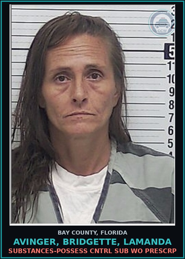 Booking mugshot of AVINGER, BRIDGETTE, LAMANDA in Bay County