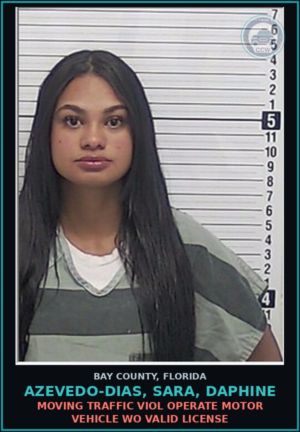Booking mugshot of AZEVEDO-DIAS, SARA, DAPHINE in Bay County