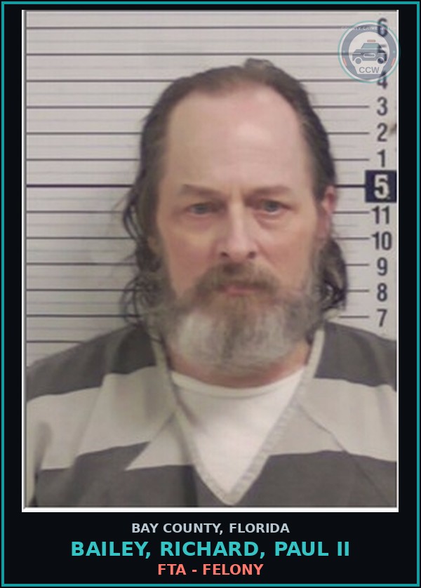 Booking mugshot of BAILEY, RICHARD, PAUL II in Bay County