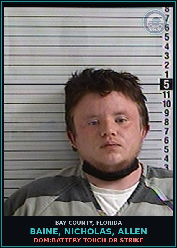 Booking mugshot of BAINE, NICHOLAS, ALLEN in Bay County
