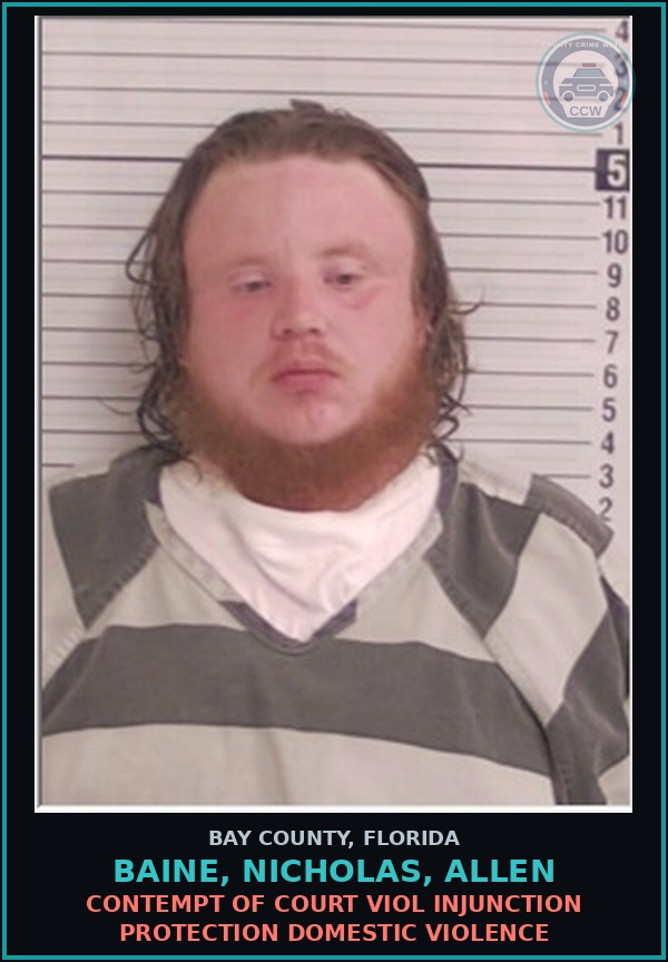 Booking mugshot of BAINE, NICHOLAS, ALLEN in Bay County