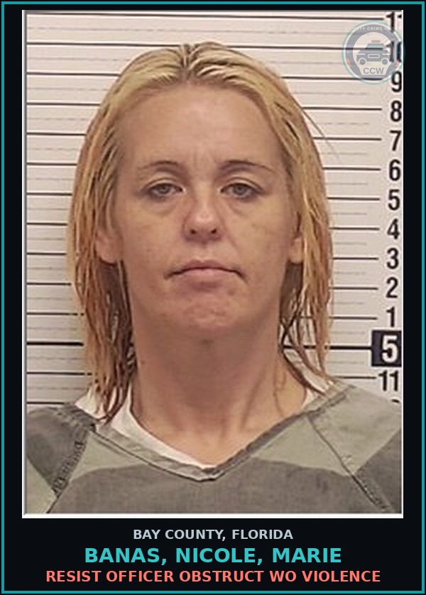 Booking mugshot of BANAS, NICOLE, MARIE in Bay County