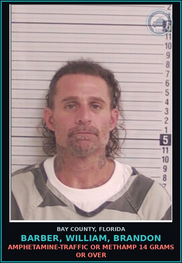 Booking mugshot of BARBER, WILLIAM, BRANDON in Bay County