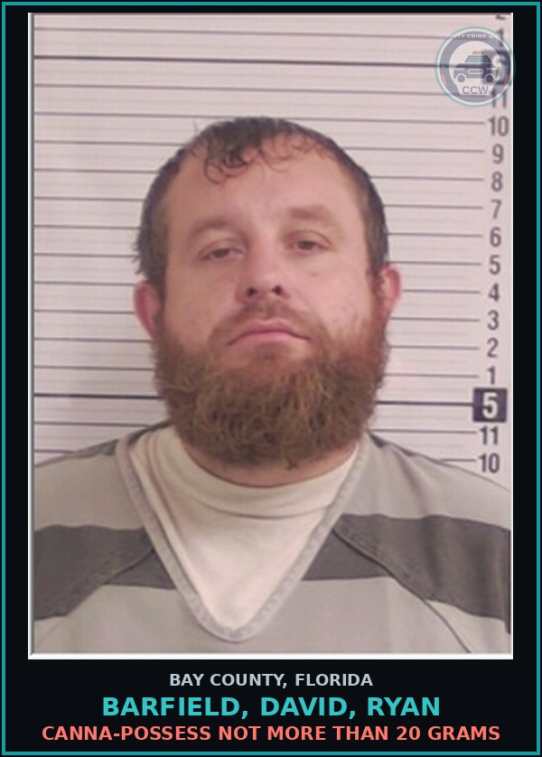 Booking mugshot of BARFIELD, DAVID, RYAN in Bay County