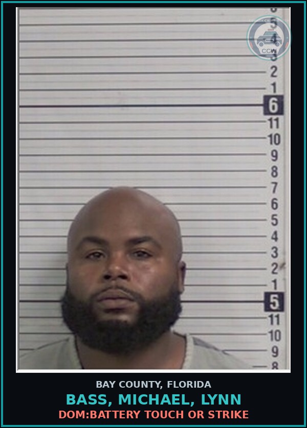 Booking mugshot of BASS, MICHAEL, LYNN in Bay County
