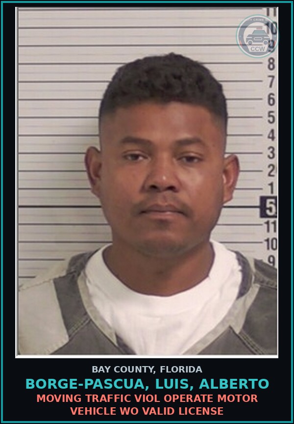 Booking mugshot of BORGE-PASCUA, LUIS, ALBERTO in Bay County