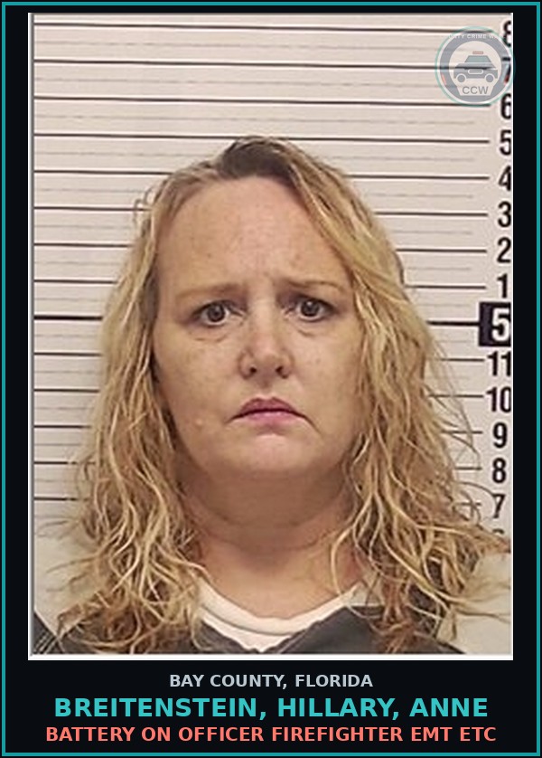 Booking mugshot of BREITENSTEIN, HILLARY, ANNE in Bay County
