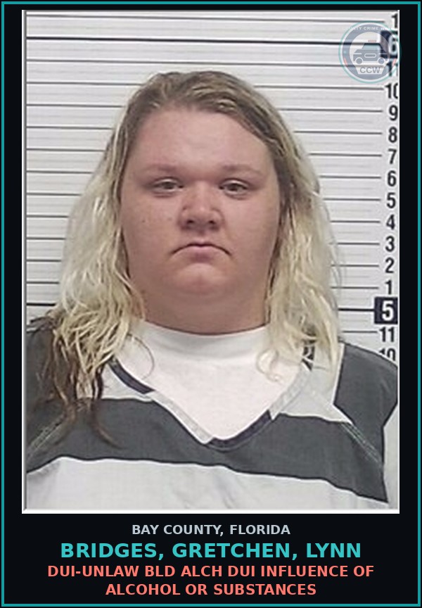 Booking mugshot of BRIDGES, GRETCHEN, LYNN in Bay County
