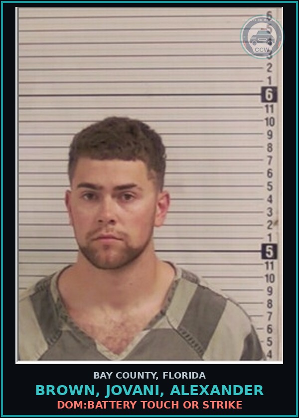 Booking mugshot of BROWN, JOVANI, ALEXANDER in Bay County