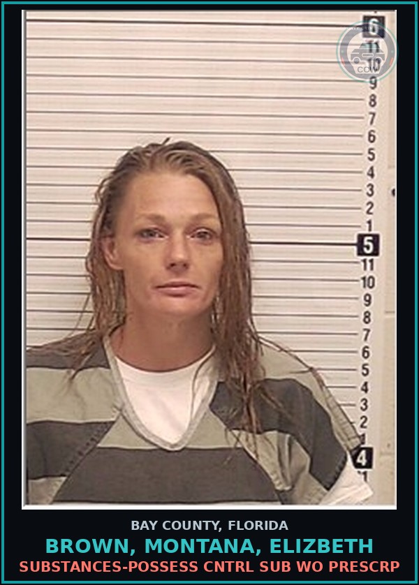 Booking mugshot of BROWN, MONTANA, ELIZBETH in Bay County