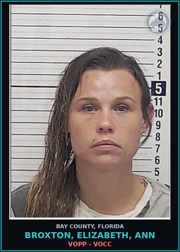 Booking mugshot of BROXTON, ELIZABETH, ANN in Bay County