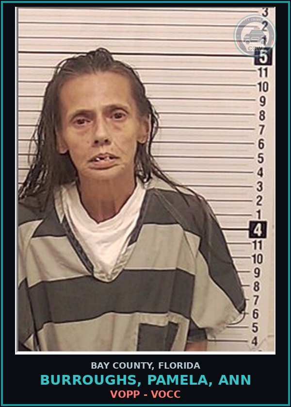 Booking mugshot of BURROUGHS, PAMELA, ANN in Bay County
