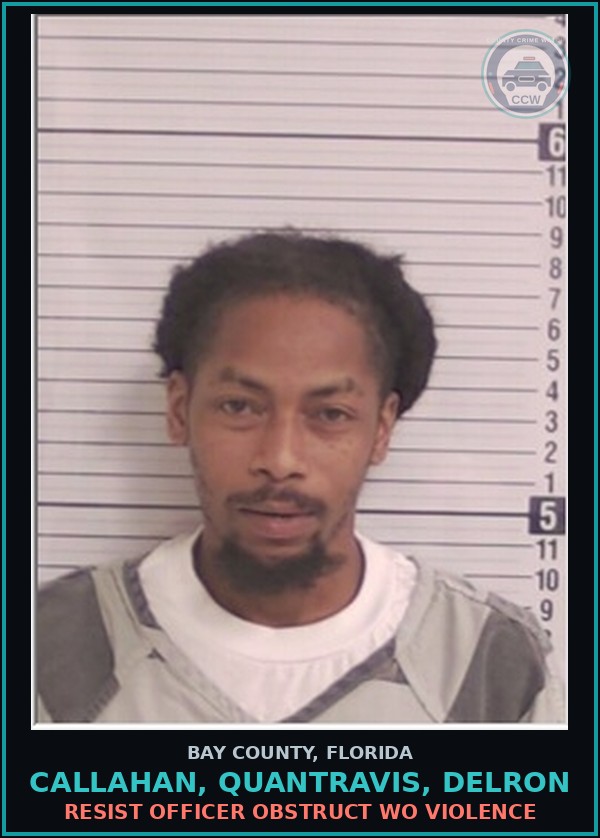 Booking mugshot of CALLAHAN, QUANTRAVIS, DELRON in Bay County