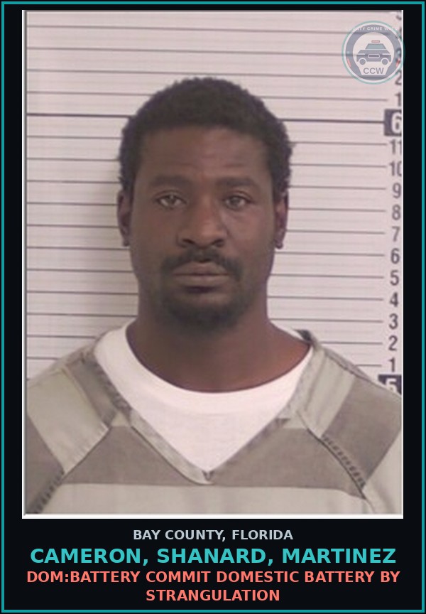 Booking mugshot of CAMERON, SHANARD, MARTINEZ in Bay County