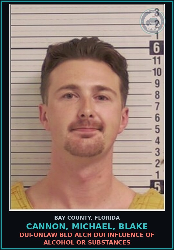 Booking mugshot of CANNON, MICHAEL, BLAKE in Bay County