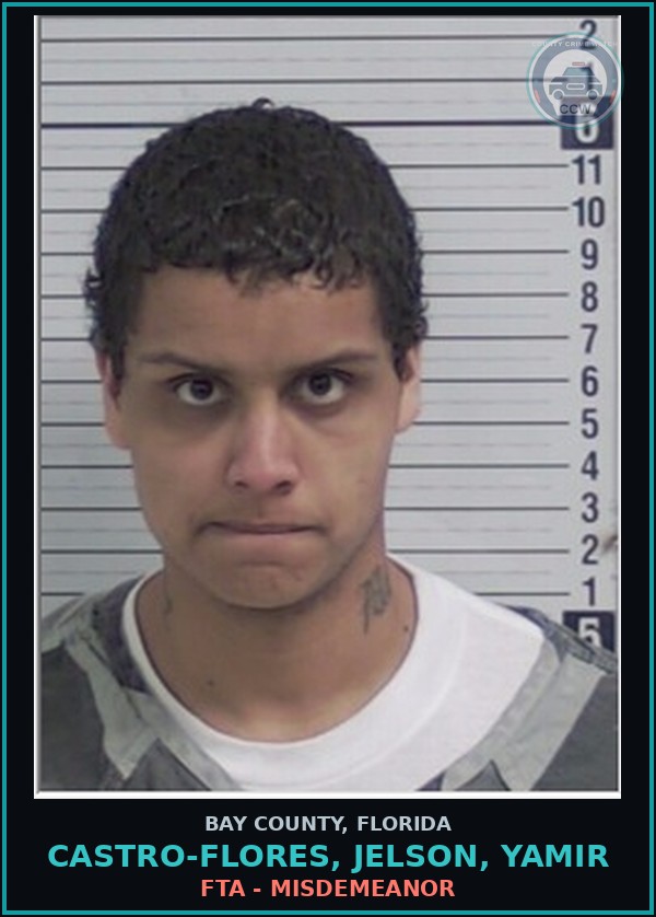 Booking mugshot of CASTRO-FLORES, JELSON, YAMIR in Bay County