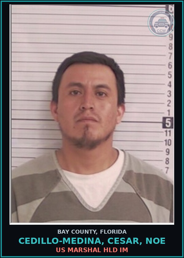 Booking mugshot of CEDILLO-MEDINA, CESAR, NOE in Bay County